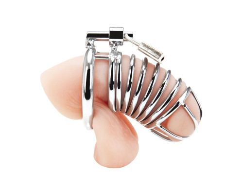 Металлическая клетка Deluxe Сhastity Сage с замком