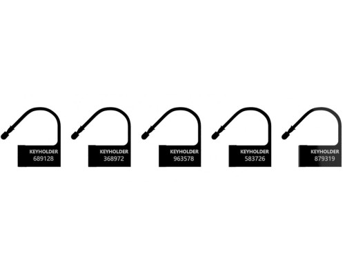 Черные пломбы-шильдики для пояса верности - 5 шт.