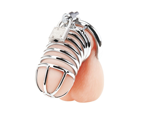 Металлическая клетка Deluxe Сhastity Сage с замком