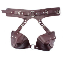 Бордовая сбруя из ошейника с лифом Maroon Harness