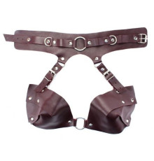 Бордовая сбруя из ошейника с лифом Maroon Harness