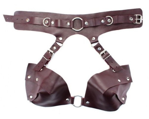 Бордовая сбруя из ошейника с лифом Maroon Harness
