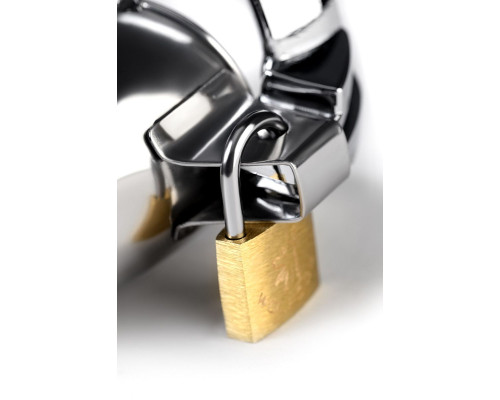 Серебристый мужской пояс верности TOYFA Metal