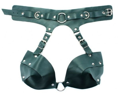 Изумрудная сбруя из ошейника с лифом Emerald Harness