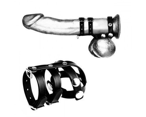 Комбинированное двойное кольцо с разделителем для мошонки и поводком