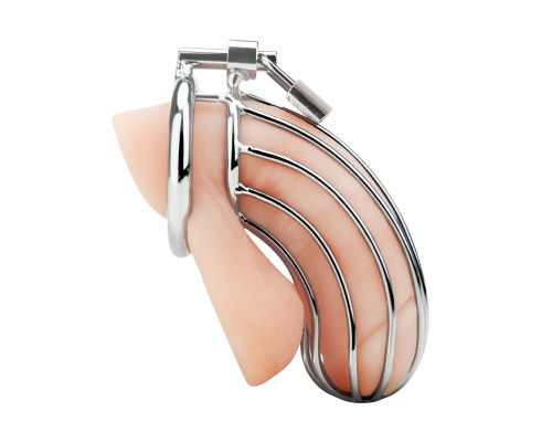 Металлическая клетка Prisoner Cock Сage с замком