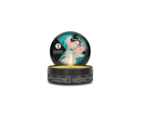 Адвент-календарь Shunga Calendar of Desires