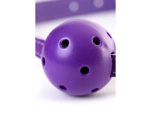 Фиолетовый набор БДСМ «Накажи меня нежно» с карточками