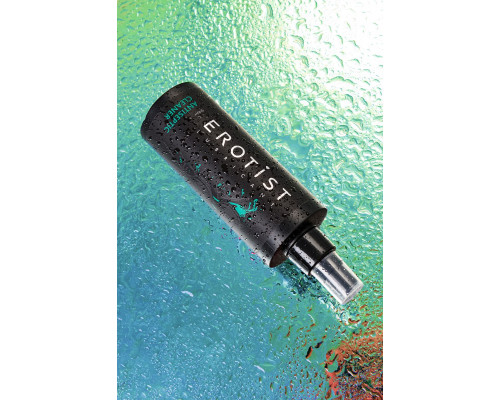 Антибактериальное средство Erotist Antiseptic Cleaner - 250 мл.