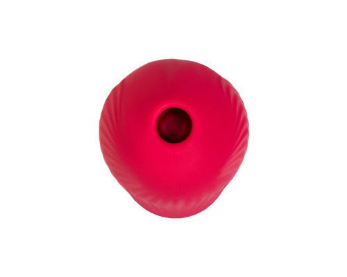 Красный вакуум-волновой стимулятор клитора Birdie