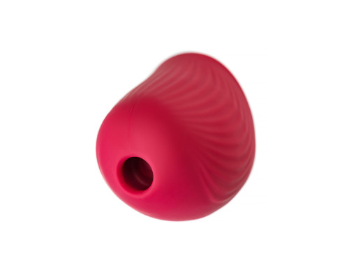 Красный вакуум-волновой стимулятор клитора Birdie