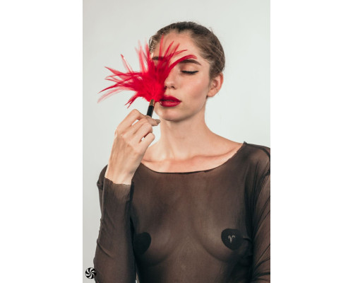 Красный перьевой тиклер Plume - 23 см.