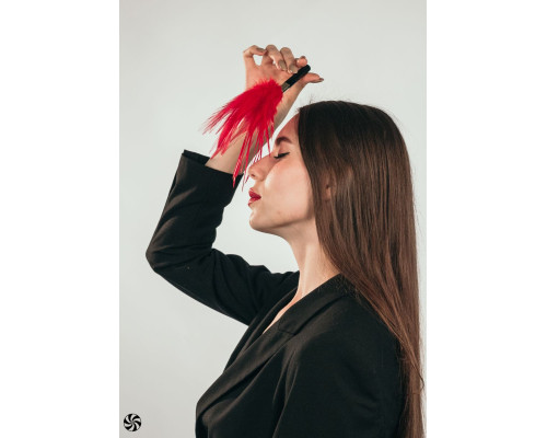 Красный перьевой тиклер Plume - 23 см.