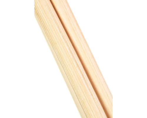 Розги из лозы TOYFA Theatre - 60 см.