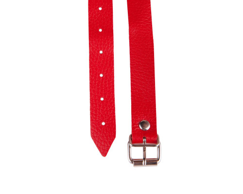 Кляп-кольцо на красных ремешках