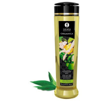 Массажное масло Organica с ароматом зеленого чая - 240 мл.