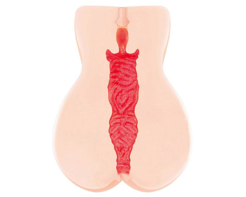 Мастурбатор-вагина с двойным слоем материала Jenny Onahole edition 005