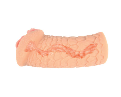 Реалистичный мастурбатор-вагина Elegance.003