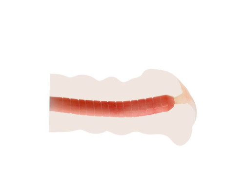 Мастурбатор-вагина с вибрацией от съёмного кольца - 14 см.