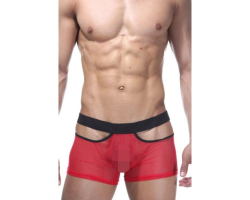 Откровенные трусы-боксеры из полупрозрачной ткани