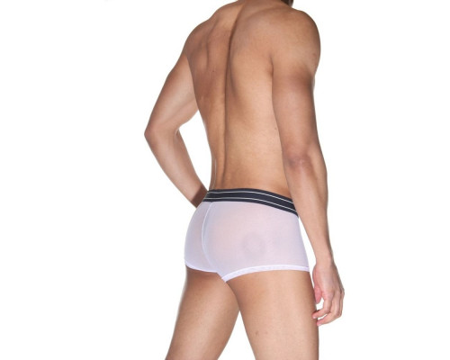 Мужские полупрозрачные трусы-боксеры