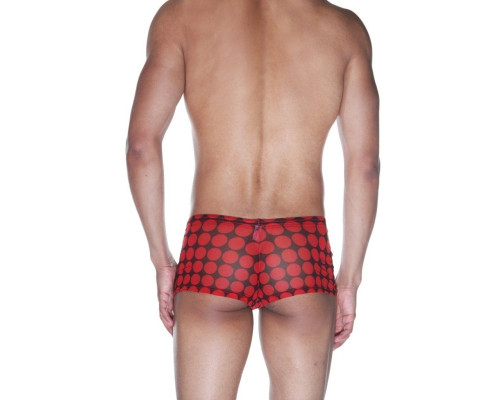 Мужские трусы-боксеры из полупрозрачной ткани в горох