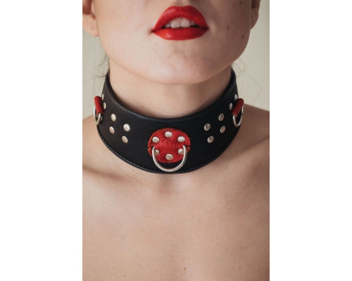 Кожаный ошейник с клепками и кольцами