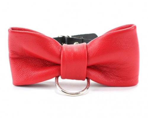 Эффектный ошейник с бабочкой