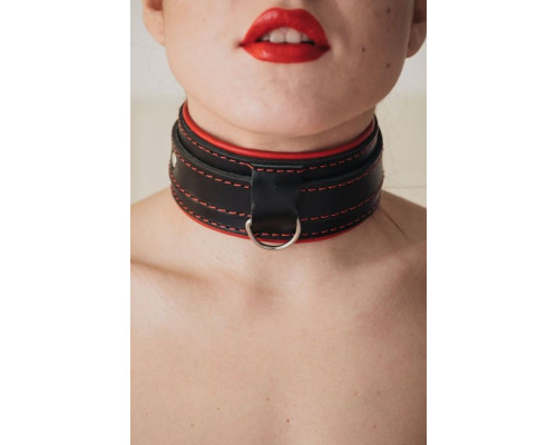 Ошейник с красным подкладом