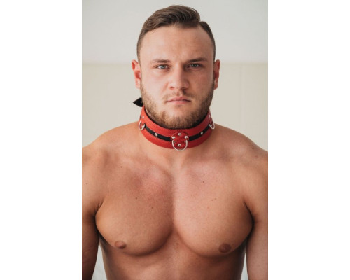 Черно-красный кожаный ошейник увеличенного размера