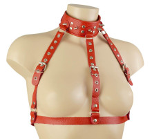 Красный кожаный ошейник-сбруя