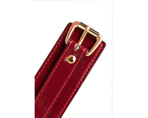 Красный ошейник из лакированного материала