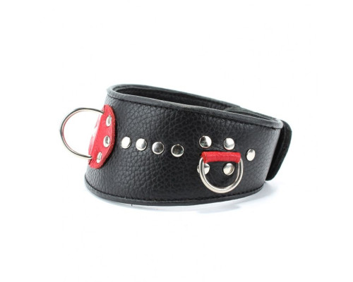 Кожаный ошейник с металлическими клепками