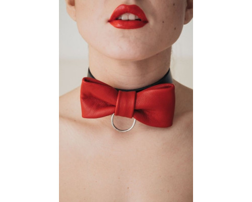 Эффектный ошейник с бабочкой