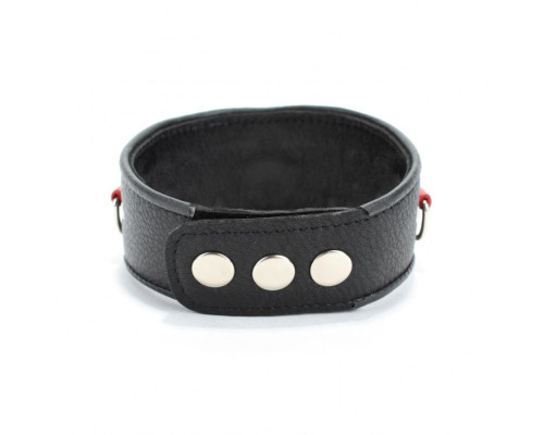 Кожаный ошейник с клепками и кольцами