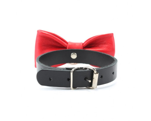 Эффектный ошейник с бабочкой