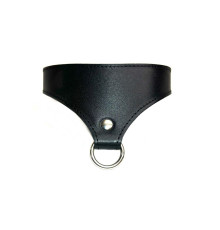 Оригинальный гладкий кожаный ошейник Black Phoenix