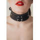 Черный кожаный ошейник с петлёй для поводка