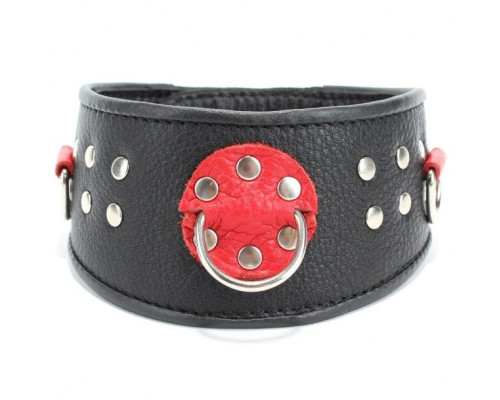 Кожаный ошейник с клепками и кольцами