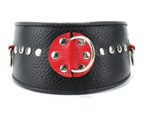 Кожаный ошейник с металлическими клепками