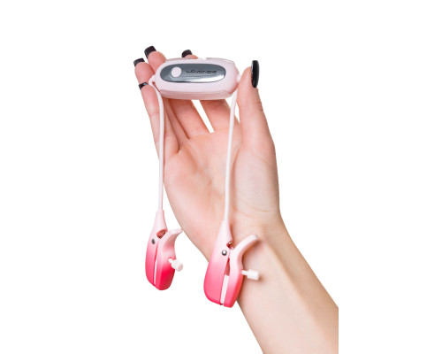 Виброзажимы для сосков Gemini