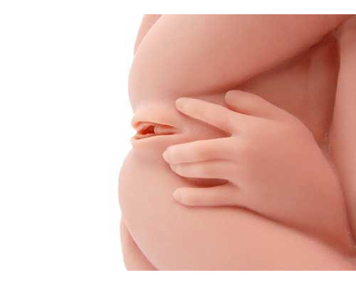 Реалистичный торс-девушка Hera 3 с тремя тугими отверстиями, вибрацией, ротацией и голосом