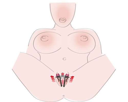 Зажим на половые губы с гибкой перемычкой для G-стимуляции