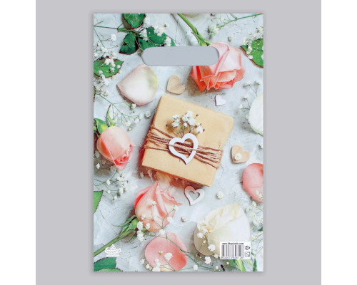 Полиэтиленовый пакет  Подарочек  с вырубной усиленной ручкой - 20 х 30 см.