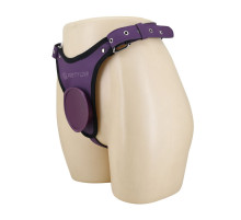 Фиолетовые трусики харнесс с платформой Caludio III