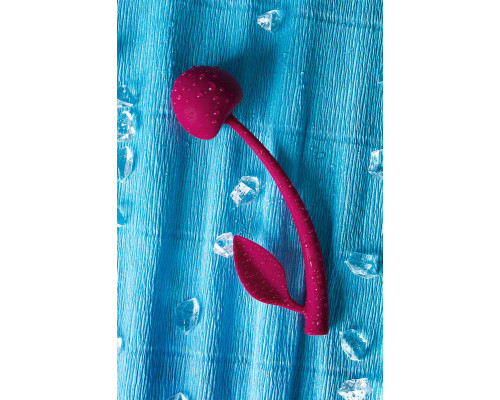 Бордовая вагинальная вишенка WILD CHERRY - 13 см.