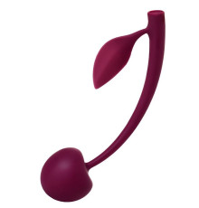 Бордовая вагинальная вишенка WILD CHERRY - 13 см.