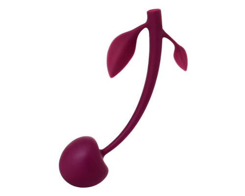 Бордовая вагинальная вишенка WILD CHERRY - 14,5 см.