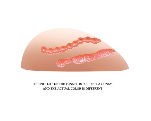 Вагина и анус с 10 режимами вибрации