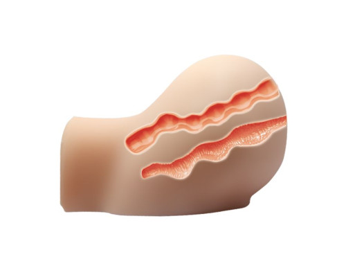 Вагина и анус с вибрацией Crazy Bull Busty Butt